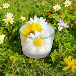 Bougie florale pâquerette peau d'ane