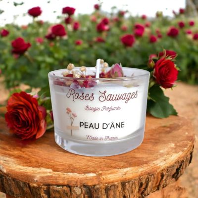 bougie peau d'ane roses sauvages